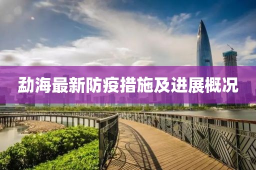 勐海最新防疫措施及进展概况