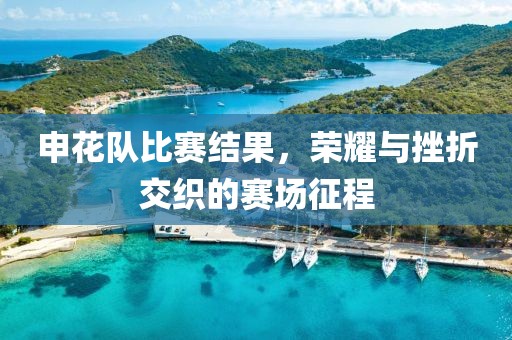 申花队比赛结果，荣耀与挫折交织的赛场征程
