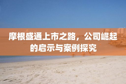 摩根盛通上市之路，公司崛起的启示与案例探究