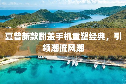 夏普新款翻盖手机重塑经典，引领潮流风潮