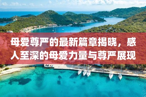 母爱尊严的最新篇章揭晓，感人至深的母爱力量与尊严展现