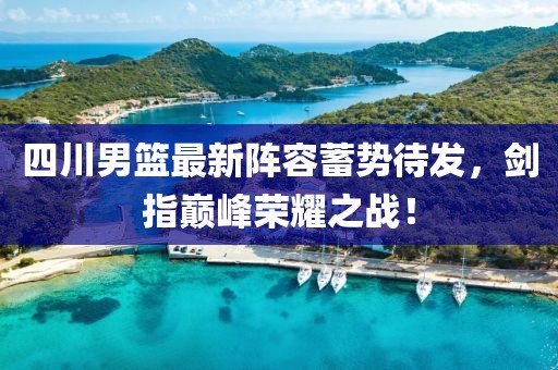 四川男篮最新阵容蓄势待发，剑指巅峰荣耀之战！