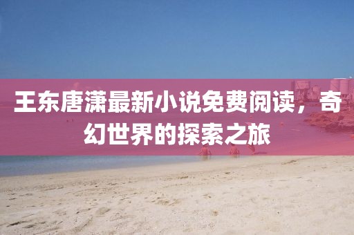 王东唐潇最新小说免费阅读，奇幻世界的探索之旅
