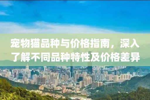 宠物猫品种与价格指南，深入了解不同品种特性及价格差异