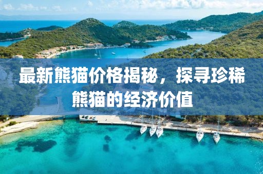 最新熊猫价格揭秘，探寻珍稀熊猫的经济价值