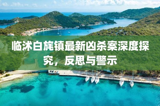 临沭白旄镇最新凶杀案深度探究，反思与警示