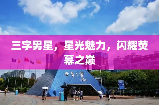 三字男星，星光魅力，闪耀荧幕之巅