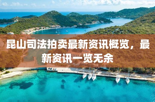 昆山司法拍卖最新资讯概览，最新资讯一览无余