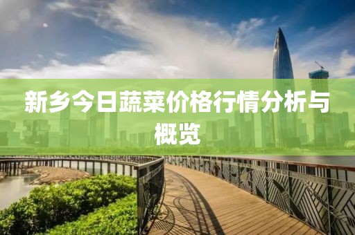 新乡今日蔬菜价格行情分析与概览