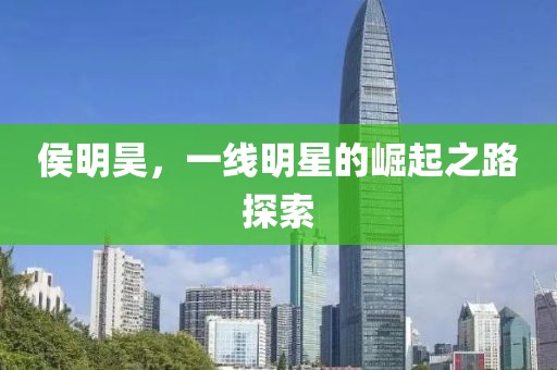 侯明昊，一线明星的崛起之路探索