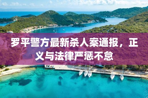 罗平警方最新杀人案通报，正义与法律严惩不怠