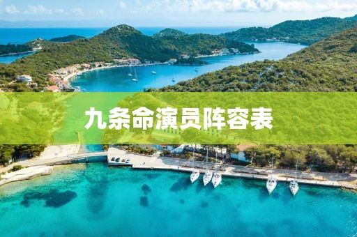 九条命演员阵容表