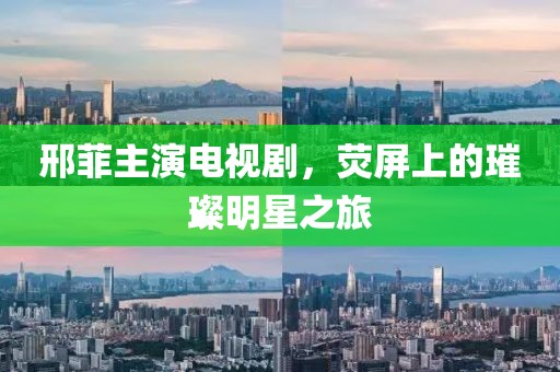 邢菲主演电视剧，荧屏上的璀璨明星之旅