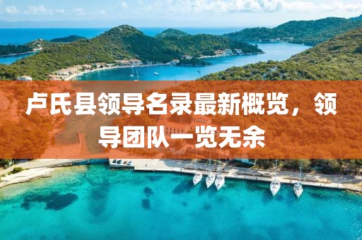 卢氏县领导名录最新概览，领导团队一览无余