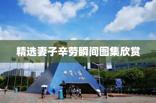 精选妻子辛劳瞬间图集欣赏