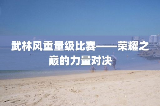 武林风重量级比赛——荣耀之巅的力量对决