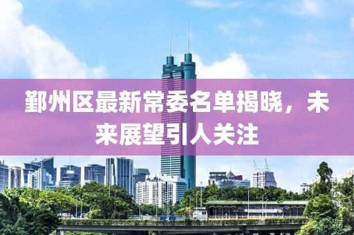 鄞州区最新常委名单揭晓，未来展望引人关注