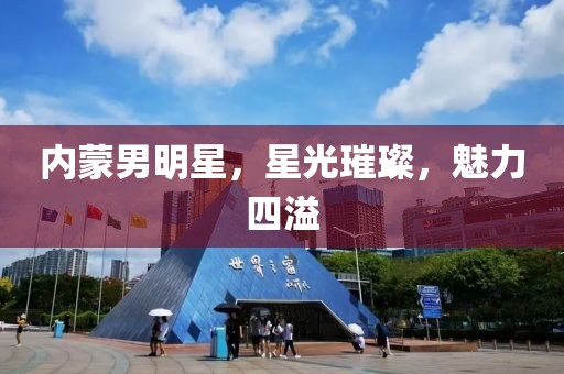 内蒙男明星，星光璀璨，魅力四溢
