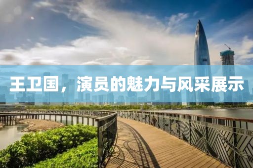 王卫国，演员的魅力与风采展示