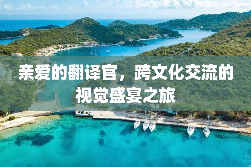 亲爱的翻译官,跨文化交流的视觉盛宴之旅