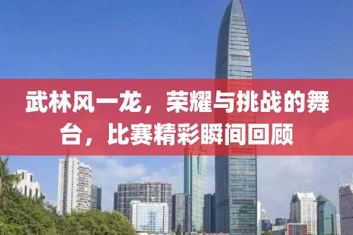 武林风一龙,荣耀与挑战的舞台,比赛精彩瞬间回顾