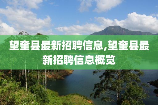 望奎县最新招聘信息,望奎县最新招聘信息概览