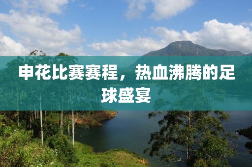 申花比赛赛程,热血沸腾的足球盛宴