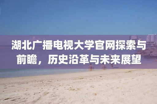 湖北广播电视大学官网探索与前瞻,历史沿革与未来展望