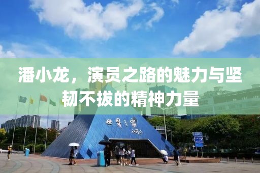 潘小龙,演员之路的魅力与坚韧不拔的精神力量