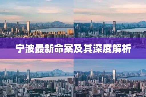 宁波最新命案及其深度解析
