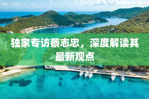 独家专访蔡志忠，深度解读其最新观点