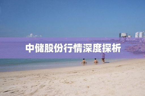 中储股份行情深度探析