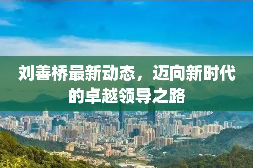 刘善桥最新动态,迈向新时代的卓越领导之路