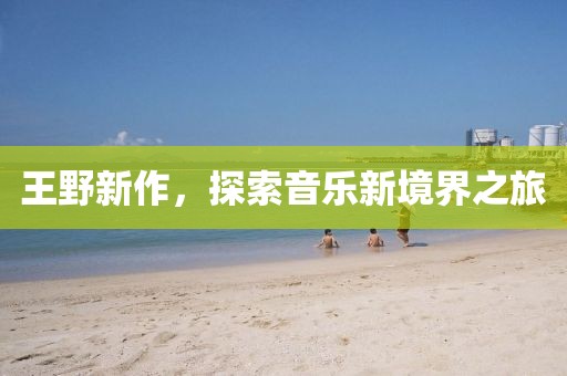 王野新作,探索音乐新境界之旅