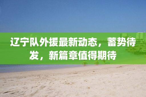 辽宁队外援最新动态，蓄势待发，新篇章值得期待