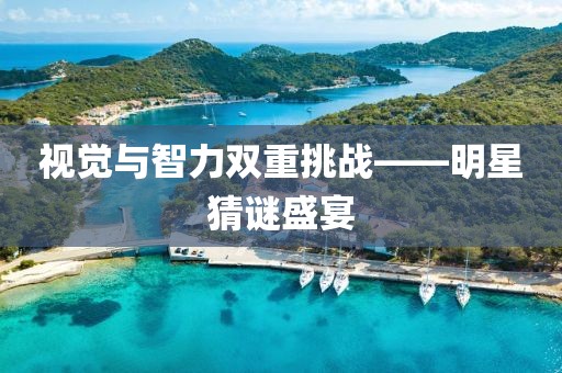 视觉与智力双重挑战——明星猜谜盛宴