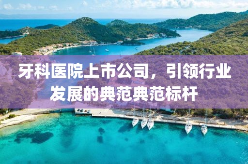 牙科医院上市公司，引领行业发展的典范典范标杆