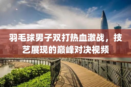 羽毛球男子双打热血激战，技艺展现的巅峰对决视频