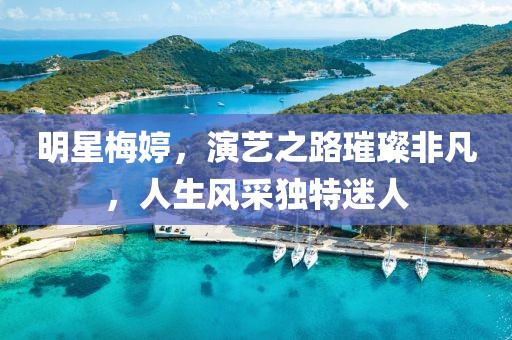 明星梅婷,演艺之路璀璨非凡,人生风采独特迷人