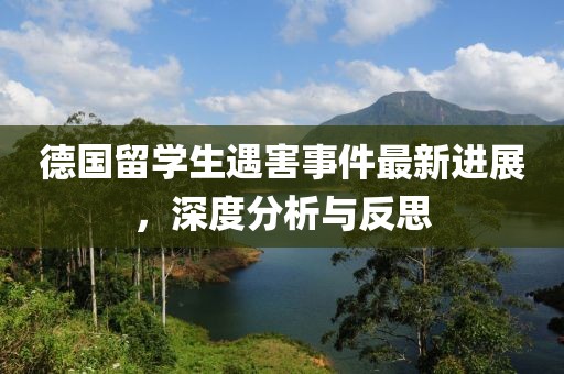 德国留学生遇害事件最新进展,深度分析与反思
