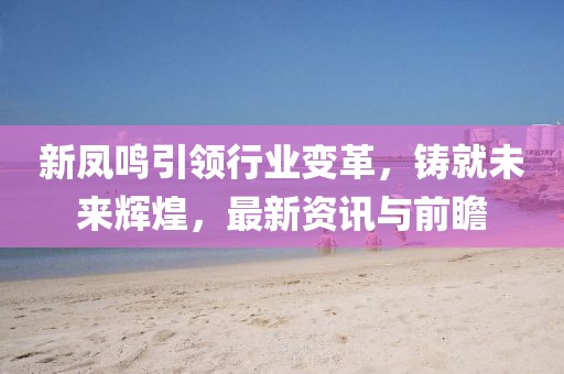 新凤鸣引领行业变革,铸就未来辉煌,最新资讯与前瞻