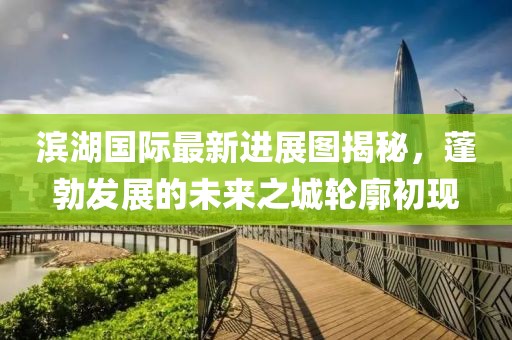滨湖国际最新进展图揭秘，蓬勃发展的未来之城轮廓初现