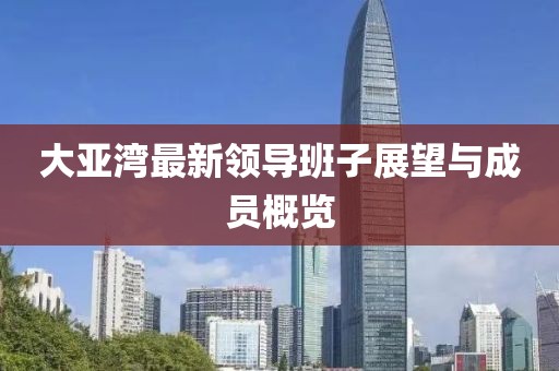 大亚湾最新领导班子展望与成员概览