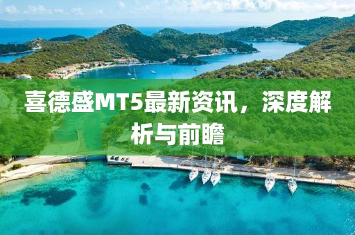 喜德盛MT5最新资讯,深度解析与前瞻