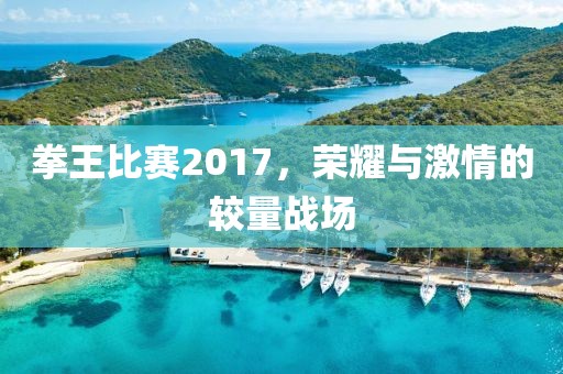 拳王比赛2017,荣耀与激情的较量战场