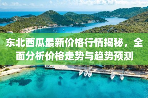 东北西瓜最新价格行情揭秘,全面分析价格走势与趋势预测