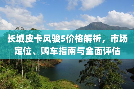 长城皮卡风骏5价格解析，市场定位、购车指南与全面评估