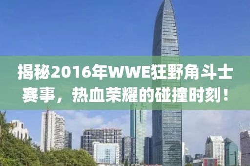 揭秘2016年WWE狂野角斗士赛事,热血荣耀的碰撞时刻!
