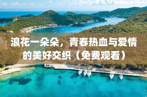 浪花一朵朵，青春热血与爱情的美好交织（免费观看）