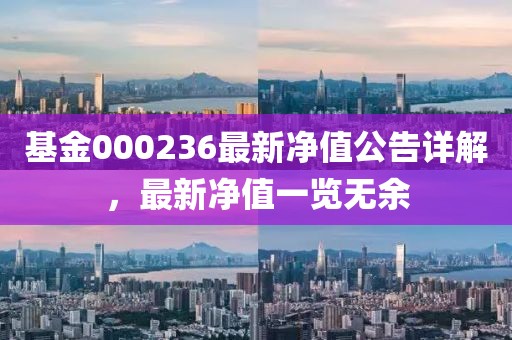 基金000236最新净值公告详解,最新净值一览无余
